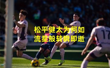 松平健太为何如流星般转瞬即逝