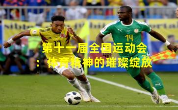 第十一届全国运动会：体育精神的璀璨绽放