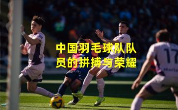 中国羽毛球队队员的拼搏与荣耀