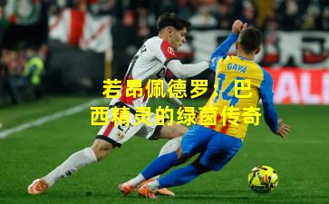 若昂佩德罗:巴西精灵的绿茵传奇