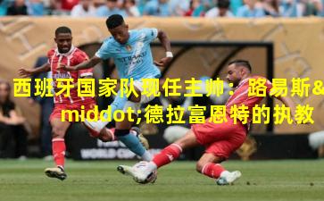 西班牙国家队现任主帅:路易斯·德拉富恩特的执教征程