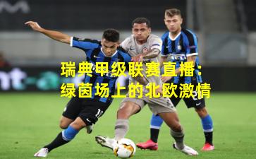 瑞典甲级联赛直播：绿茵场上的北欧激情