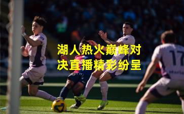 湖人热火巅峰对决直播精彩纷呈